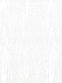 Панель ПВХ Белое дерево 2700х250мм (SWX-73)