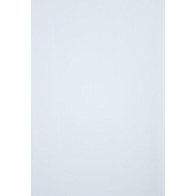 Панель ПВХ Белая  матовая 3000*375 мм