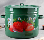 Бак эмал. 32л с2829/с2829*59 клубника садовая зел.
