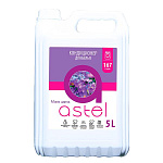 Кондиционер для белья Astel магия цветов 5л