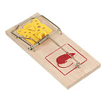 Мышеловки 100х45мм дерево