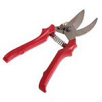 Секатор мал.