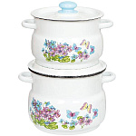 Набор кастрюль эмал. Фиалка 10 N10B24 (4л, 5,5л) белый