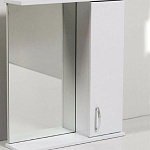 Шкаф с зеркалом "Панда 550" 800х550х200мм  