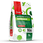 Шпатлевка СТАРАТЕЛИ Финишная (гипсовая) 5 кг