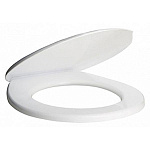 Сиденье для унитаза снежно-белое