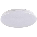 Светильник  светодиодный PPB STARWAY-2 24Вт 4000К D260х55 IP20 Jazzway