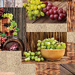 Клеенка столовая 1,3х20м. Мажор Перфект ПВХ на нетканой основе 537/2
