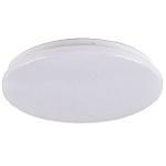 Светильник  светодиодный PPB STARWAY-2 12Вт 4000К D215х50 IP20 Jazzway