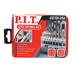 Набор сверл P.I.T 15пр.ASET09-015A