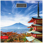 Весы напольные электронные "ENERGY" EN-419Н