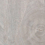 Панель МДФ Абсолют Дуб Лофт светлый 2620х230х6мм